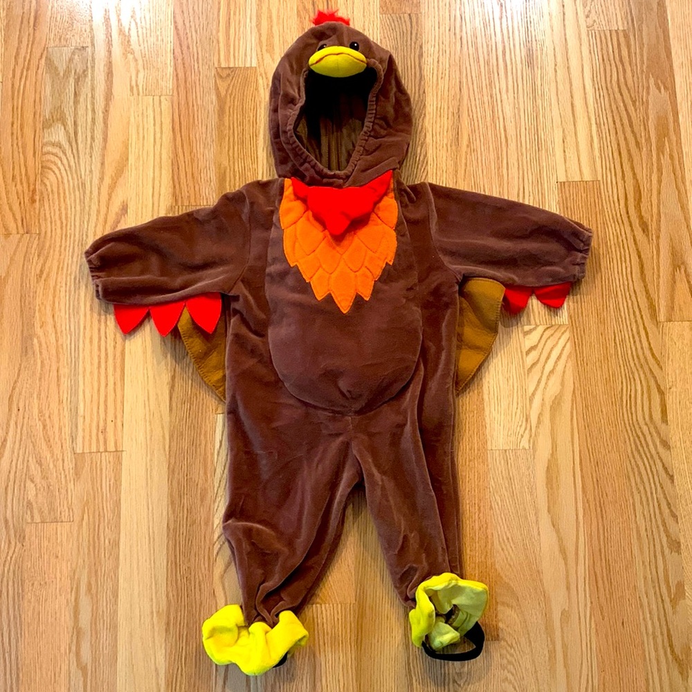 Adorable Turkey costume for 12-18 month old
